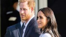 Harry and Meghan will be overwhelmed by “interesting new characters”