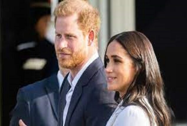 Harry and Meghan will be overwhelmed by “interesting new characters”