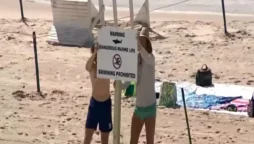 There have been two additional shark attacks off the shore of Fire Island