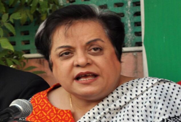 Bilawal didn’t meet Russian FM during SCO meeting to appease US: Mazari