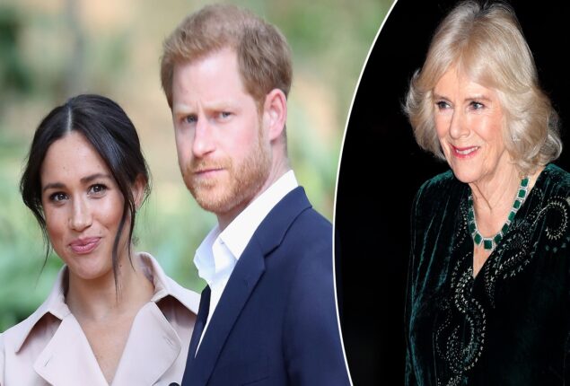Prince Harry reportedly doesn’t respect Camilla