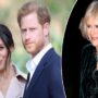 Prince Harry reportedly doesn’t respect Camilla