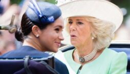 Fact-check on Camilla’s “nonsense ginger afro” remark regarding the unborn Archie