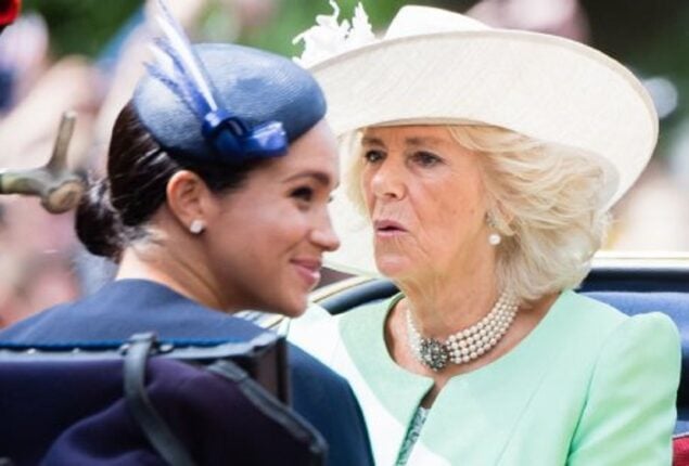 Fact-check on Camilla’s “nonsense ginger afro” remark regarding the unborn Archie