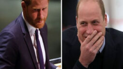 Prince Harry is alleged of “copying and pasting” Prince William’s statement