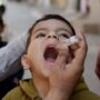 Another child paralyzed by wild polio in N. Waziristan