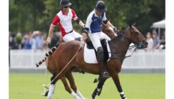 Expert says Prince William and Prince Harry’s ‘tense’ Polo match body language revealed a divide