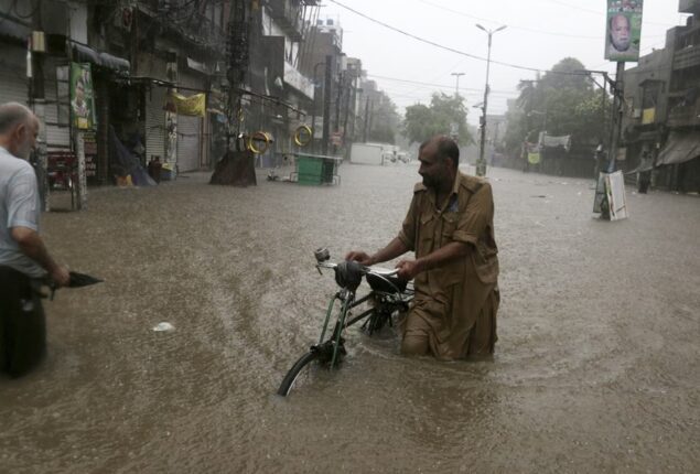 Rains break 12-year record in Punjab: PDMA