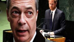 Nigel Farage criticised Prince Harry following his UN speech