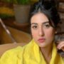 Sarah Khan looks happy and beautiful in her most recent video