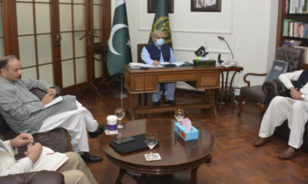 PM directs immediate functioning of shut down power plants