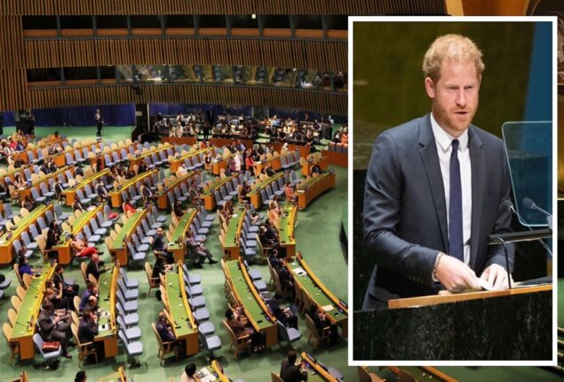 Prince Harry said, “Was a packed house,” after a pic of the empty UN