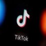 TikTok tries to console U.S. officials on information security