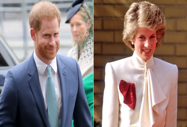 Prince Harry is working on the “most heartbreaking royal release”