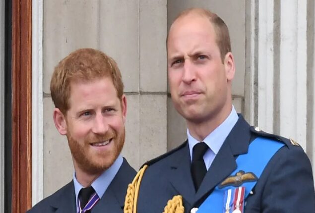 Prince William’s partners are mocked by Prince Harry and Meghan’s acquaintance