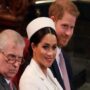 Forces that governed Jeffrey Epstein are now controlling Meghan Markle