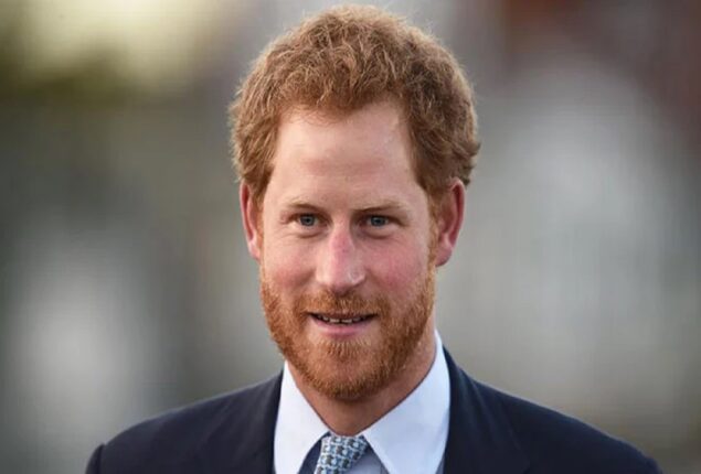 Prince Harry and Meghan are deemed “not worth the pity”