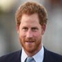 Prince Harry and Meghan are deemed “not worth the pity”