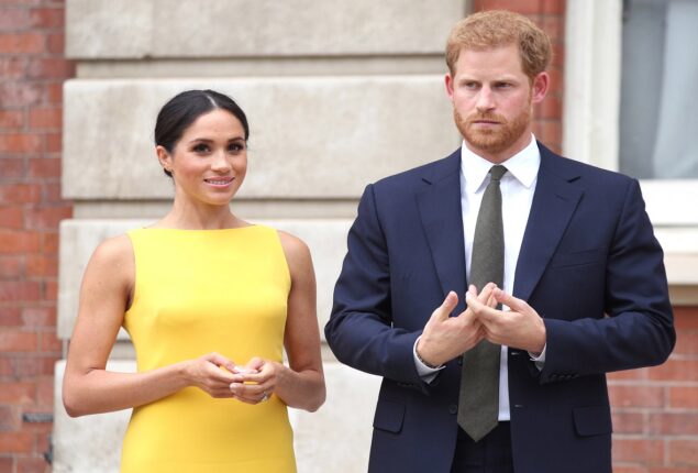 Meghan and Harry warned against going into ‘lion’s den’