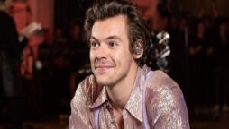 Harry Styles responded when a fan threw chicken nugget on stage during his performance: