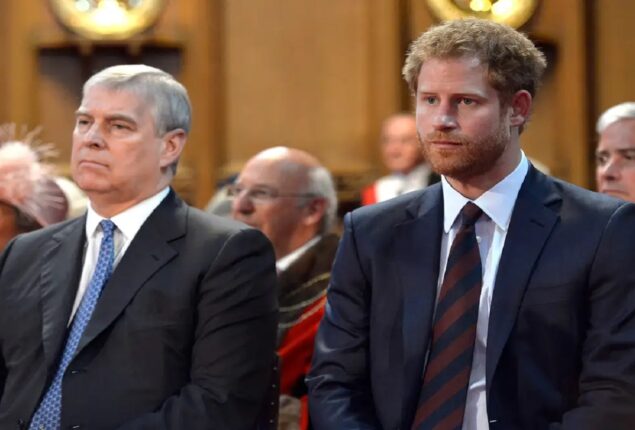 UK condemned ‘unjust’ security measures for Prince Harry, contrasting Andrew