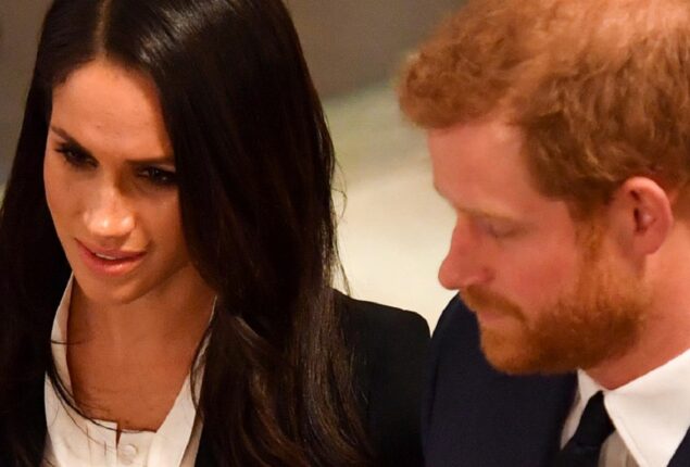 Harry served as Meghan Markle’s “platform” to remove the stigma of “minor actress”