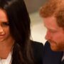 Harry served as Meghan Markle’s “platform” to remove the stigma of “minor actress”