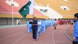 Azadi Sports Festival, mixed martial arts contests organized