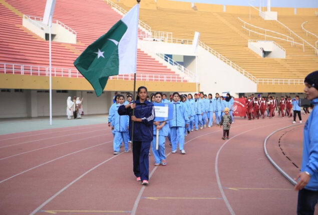Azadi Sports Festival, mixed martial arts contests organized