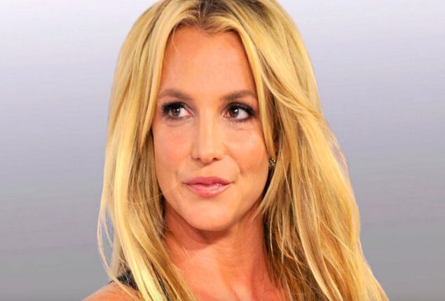 Britney Spears’ sons has decided not to see her right now