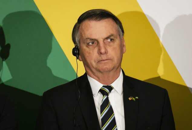Brazilian President Jair Bolsonaro got physical with YouTuber