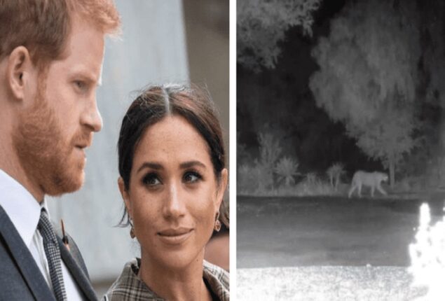 Meghan and Harry were advised to lock their house