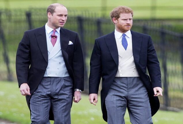 Will Prince William and Harry get along again?