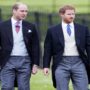 Will Prince William and Harry get along again?