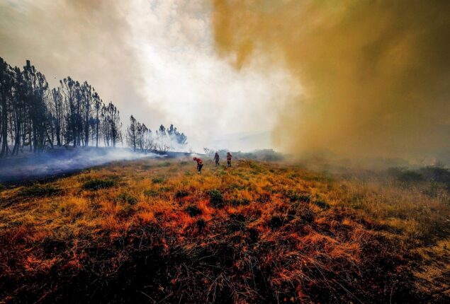 Third heatwave may start wildfires, Portugal on alert