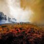 Third heatwave may start wildfires, Portugal on alert
