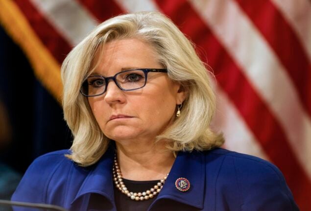 Trump rival Liz Cheney kicked out in Wyoming election