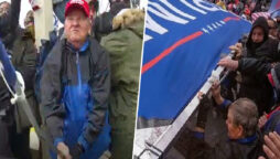 Trump fan