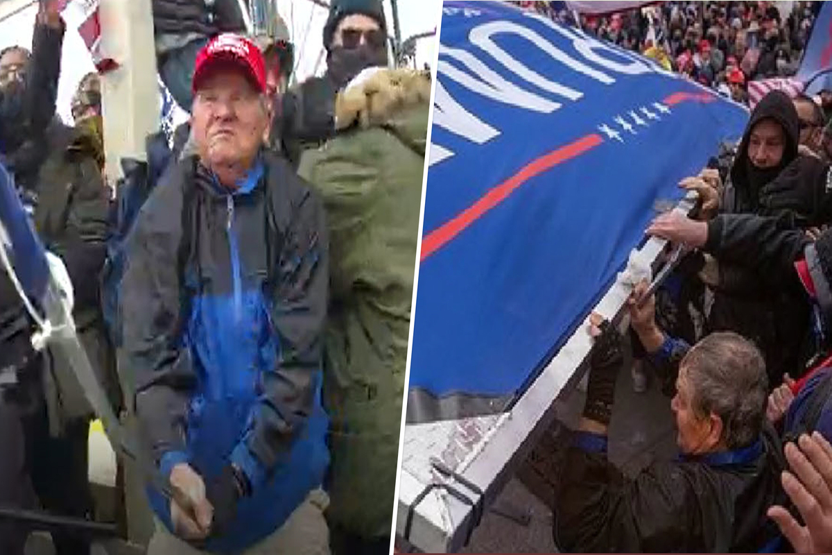 Trump fan