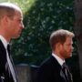 Harry and William are having difficulties preserving their once-close bond
