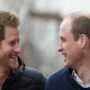 Are Prince Harry and William reconciling?