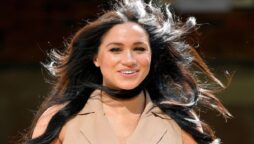 Meghan was attempting to present ideas to the royal family’s “board”