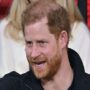 Prince Harry encouraged to admit “royal racist” in biography