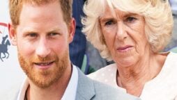 Prince Harry’s decision to hunt Camilla and Queen is absurd