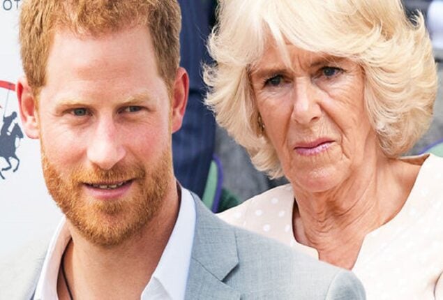 Prince Harry’s decision to hunt Camilla and Queen is absurd