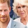Prince Harry’s decision to hunt Camilla and Queen is absurd