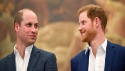 Prince Harry and William are not alike