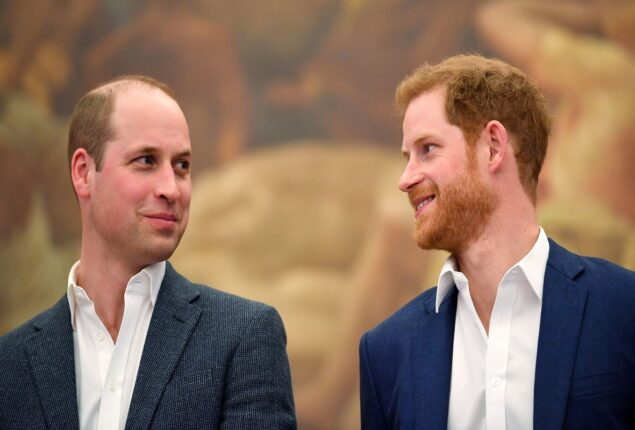 Prince Harry and William are not alike