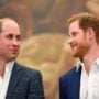 Prince Harry and William are not alike