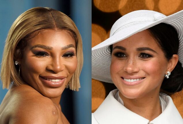 A professional disputes a statement made by Meghan Markle’s friend
